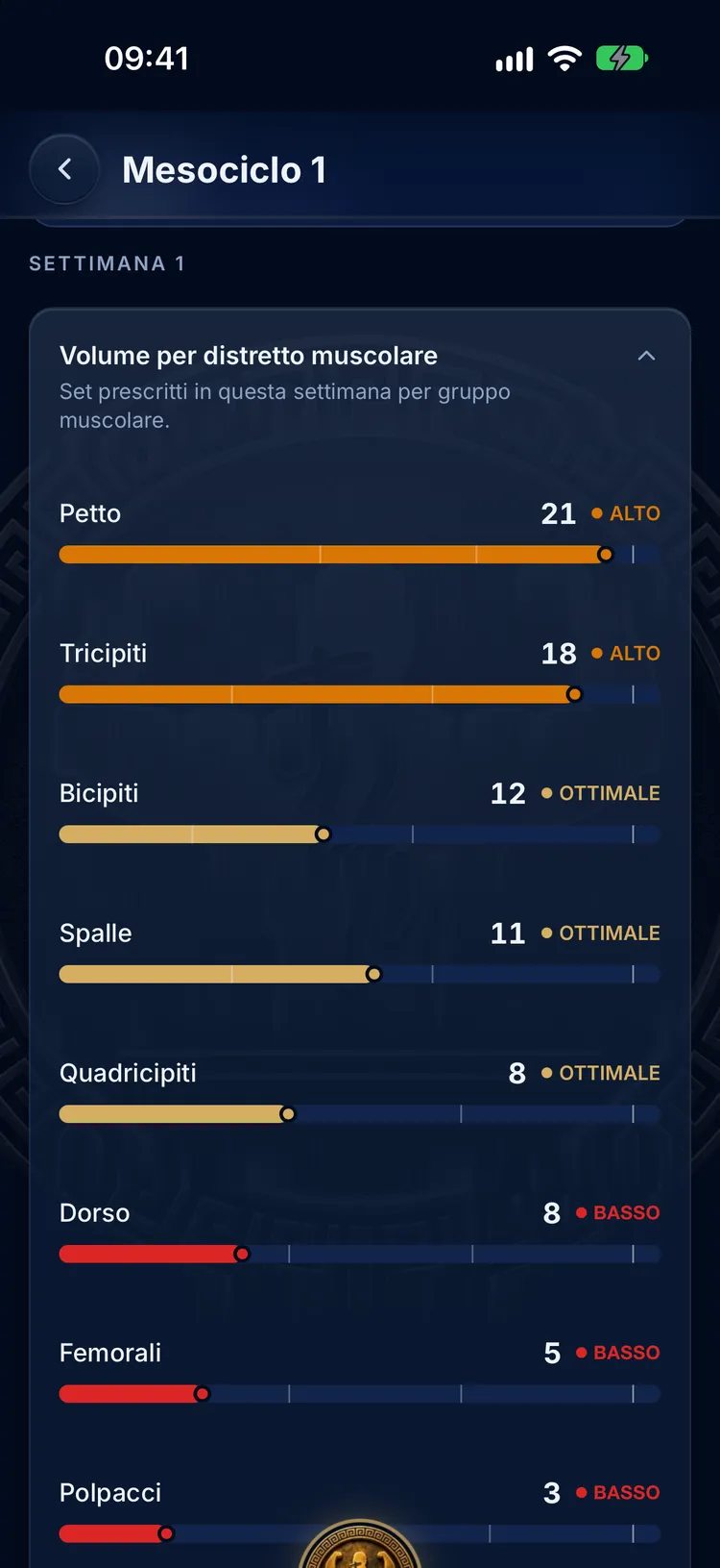 Volume settimanale del mesociclo per distretto muscolare